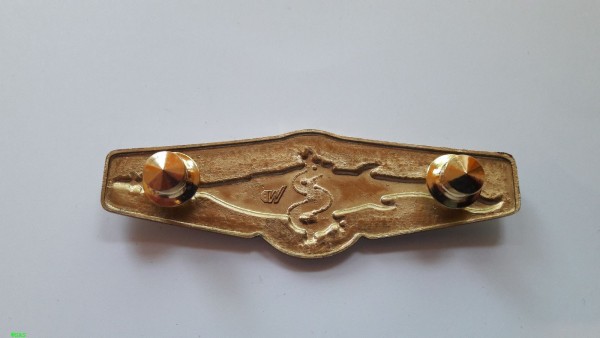 Tätigkeitsabzeichen, Tauchmedizinisches Assistenzpersonal Gold, Metall  