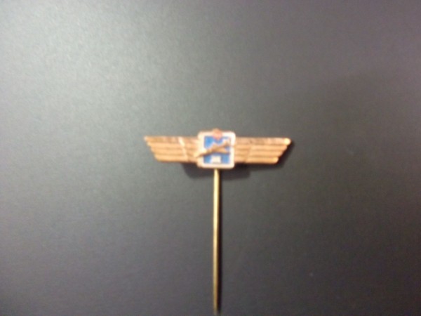 Anstecknadel, für Flugzeugführer/ Hubschrauberführer Stufe 2 