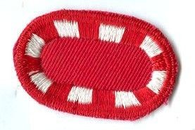 Brustabzeichen, Background Trimming, Oval, 326th Engineer Battalion