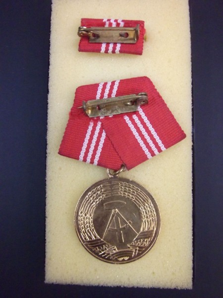 Medaille für treue Dienste in den Kampfgruppen der Arbeiterklasse, in Gold für 20 Jahre Bild ist ein Muster !!